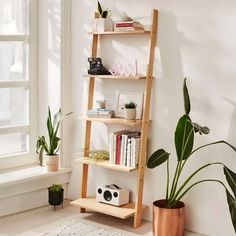 a wooden ladder leaning against a wall next to a potted plant and bookshelf