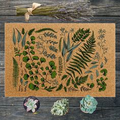 a cork board with different types of plants on it next to some dried flowers and leaves