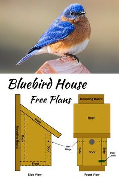 the bluebird house is made from wood and has measurements to make it stand out