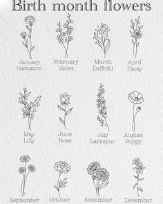 the birth month flowers are drawn in black ink on white paper, and each flower has different