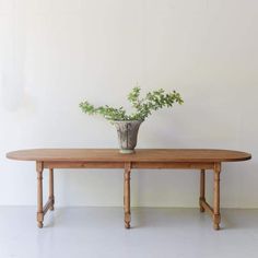 a wooden table with a potted plant sitting on it's top, against a white wall