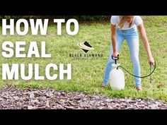 how to seal mulch in your yard with a sprayer and water bottle - quick & easy