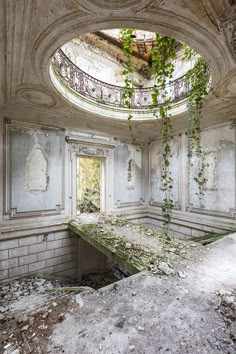 an old run down building with vines growing out of the ceiling and windows above it