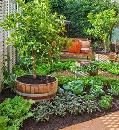 a garden filled with lots of different types of plants and trees next to a wooden bench