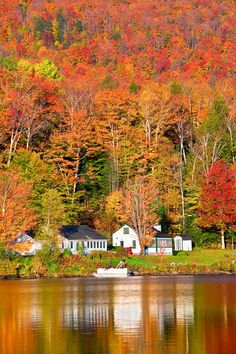 a lake surrounded by trees with fall colors