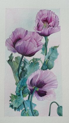 watercolor painting of purple flowers on white paper with green stems and leaves in the foreground