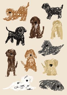 a bunch of dogs that are drawn in different colors