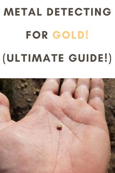 a person holding out their hand with the words metal detectoring for gold ultimate guide