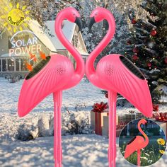 two pink flamingos standing next to each other in the snow