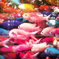 josuetheblog:Osaka le 10 Octobre, devant l'aquarium, il y avait... Tout Rose, Design Branding, Osaka, Color Palettes, Aesthetic Pictures