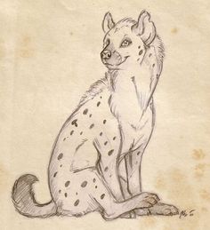 a drawing of a hyena sitting on the ground with it's legs crossed