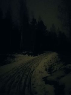 a snowy road in the woods at night with snow on it and trees behind it