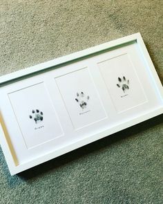 three framed pictures with dogs paw prints on the bottom one is white and the other is black