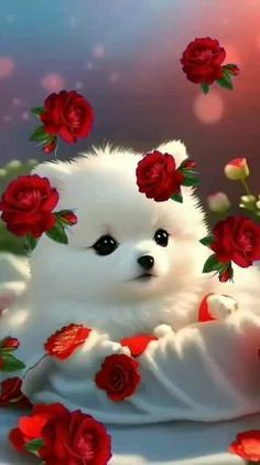 a small white dog surrounded by red roses