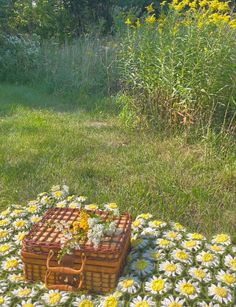 a wicker picnic basket with daisies on a blanket in the middle of a field