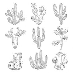 six cacti are shown in black and white, with one cactus on the left side