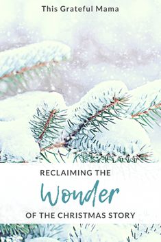 a book cover for reclaim the wonder of the christmas story, featuring pine needles and snow