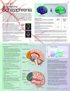 a poster showing the functions of the human brain