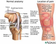 The Illustrated Guide to What's Causing Your Knee Pain: Step 5 of 5 - Specific Location of Knee Pain Knee Exercises, Knee Pain Relief, Joints Pain Relief, Knee Injury, Gua Sha, Knee Pain, Health Info, Natural Treatments, Massage Therapy