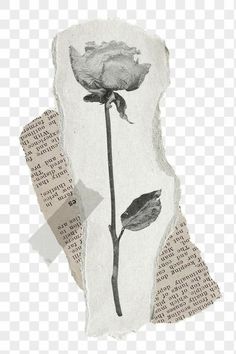 an old torn piece of paper with a rose on it, and some newspaper clippings