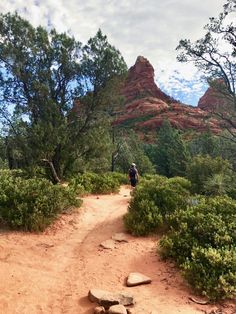 a person hiking up a dirt trail in the mountains with trees and bushes on either side