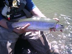 a man sitting in the water holding a fish