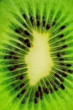 the inside of a kiwi fruit slice