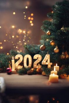 candles are lit in front of a christmas tree with the numbers 1204 on it