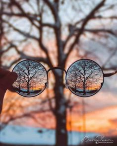 the reflection of trees in sunglasses is seen through it's glass lenses as the sun sets