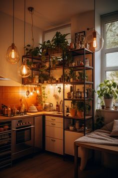 a kitchen filled with lots of plants and hanging lights