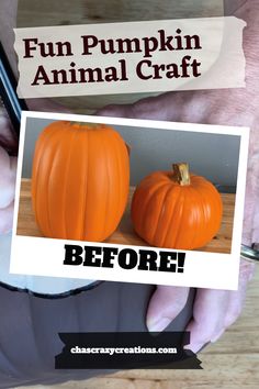 Fun Pumpkin Animal Craft Pumpkin Carving Tools, Craft Pumpkins, Autumn Spirit, Fall Afternoon, Pumpkin Drawing, Animal Craft