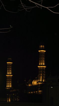 two large towers lit up in the night sky