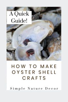 an oyster shell with the title how to make oyster shell crafts