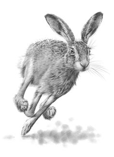 a black and white drawing of a rabbit running in the air with its legs spread out