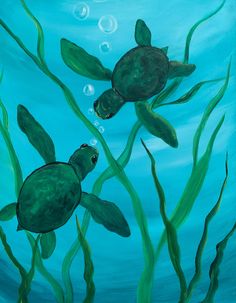 two sea turtles swimming in the ocean with green algae and bubbles on their back legs