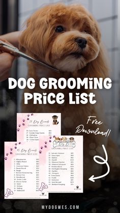 a dog grooming price list with the words dogs grooming price list on it