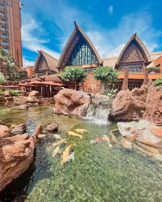 several koi fish swimming in the water near some rocks and buildings with thatched roof