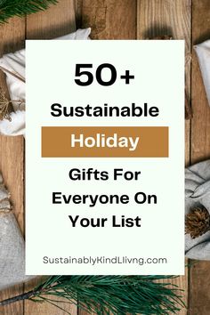 the words 50 + sustainable holiday gifts for everyone on your list