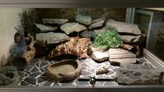 an aquarium with rocks and plants in the water, along with other items that are on display