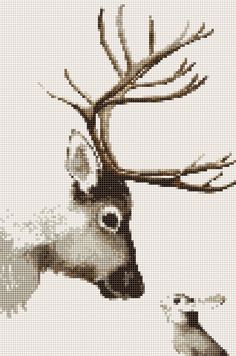 a cross stitch pattern of a deer with antlers on it's head and another animal in the background