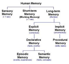 a family tree with the names of different memorys