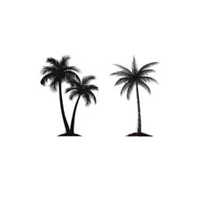 two palm trees are shown in black and white