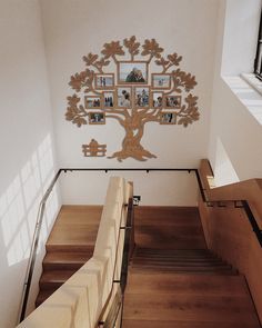 a tree with pictures hanging on the wall next to some stairs and railings in a house