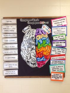 a bulletin board with the words brain on it and two different sections of the human body