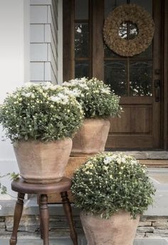 two large potted plants sitting on top of a wooden stool in front of a door