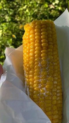 a hand holding a piece of corn on the cob