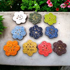 there are many different colored flowers on the cement surface next to some plants and flowers