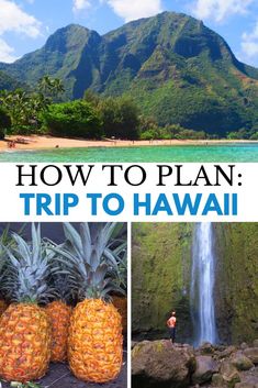 pineapples and water with text overlay that reads how to plan trip to hawaii