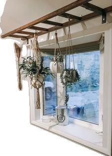 two vases with plants hanging from them in front of a window