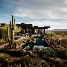 a desert house with cactus and pool in the foreground, surrounded by cacti